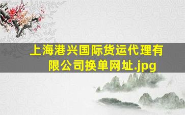 上海港兴国际货运代理有限公司换单网址