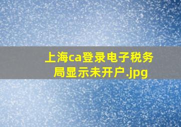 上海ca登录电子税务局显示未开户