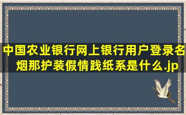中国农业银行网上银行用户登录名烟那护装假情践纸系是什么