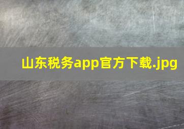 山东税务app官方下载