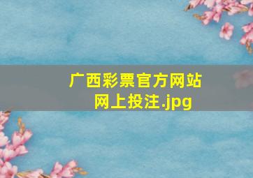 广西彩票官方网站网上投注