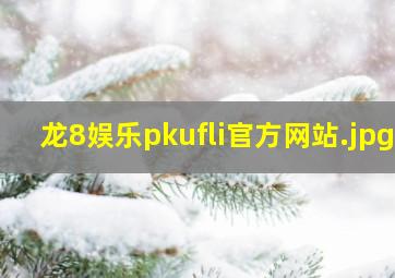 龙8娱乐pkufli官方网站