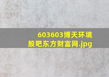 603603博天环境股吧东方财富网