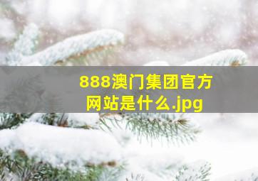 888澳门集团官方网站是什么