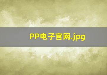 PP电子官网