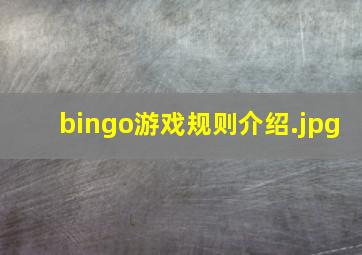 bingo游戏规则介绍