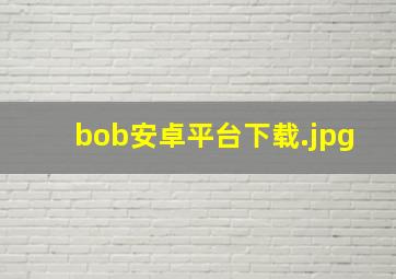 bob安卓平台下载