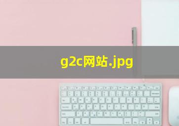 g2c网站