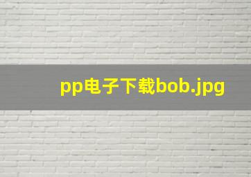 pp电子下载bob