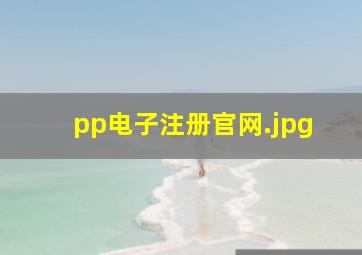 pp电子注册官网