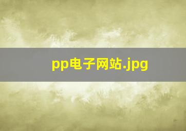 pp电子网站