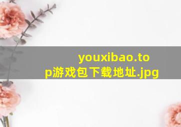 youxibao.top游戏包下载地址